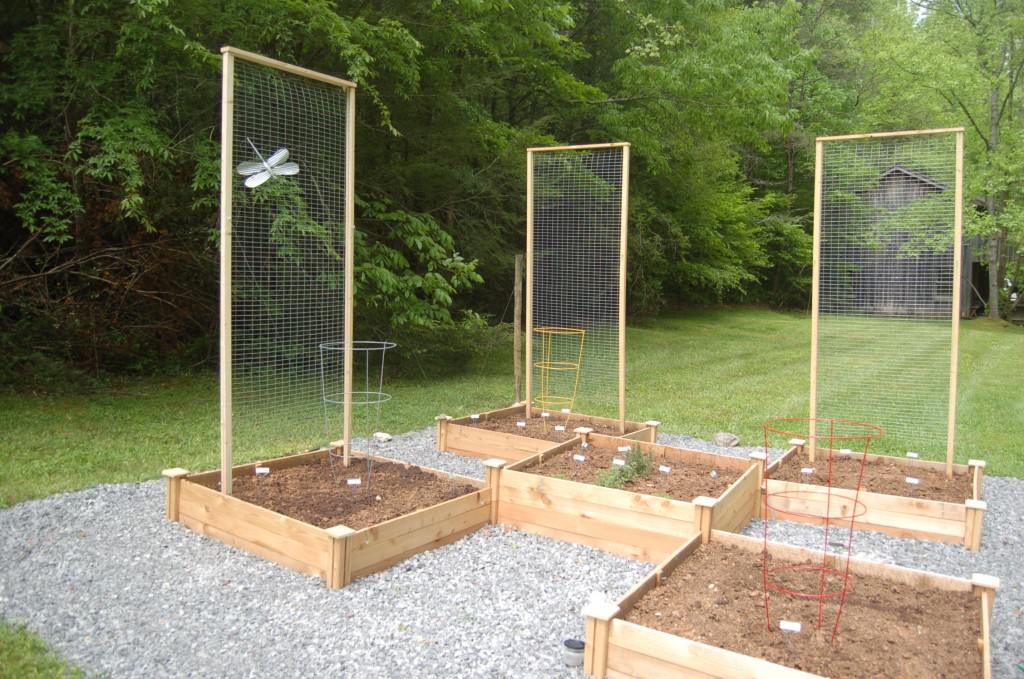 Saucy's Wee Kitchen Garden Planted New Adventures in Raised Bed Gardens