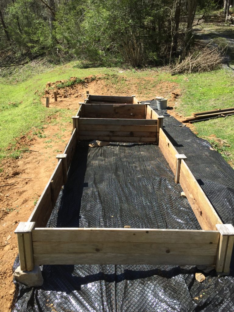 raised bed garden